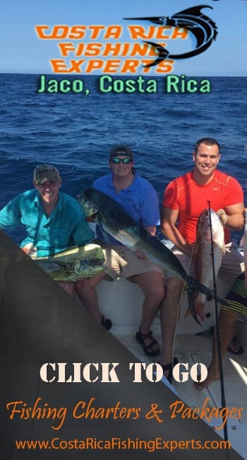 Costa Rica Fishing Experts
